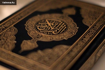 Коран и Сунна: Как Коран излечивает сердца