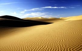 Фетвы и ответы: Почему Пророк Ибрагим (мир ему) оставил жену и сына в пустыне?