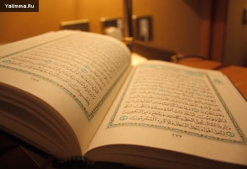 Новости и события: В День короля в Нидерландах мусульмане раздавали Кораны