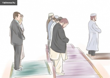 Намаз и молитвы: Исламская практика: Как избавиться от дурных мыслей во время намаза?