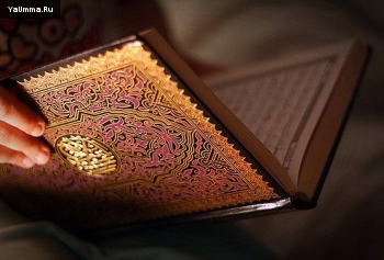 Новые мусульмане: Коран &ndash; это высшая нота, которую может взять человечество в выражении своих мыслей