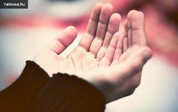 Намаз и молитвы: Можно ли читать молитву за покойного немусульманина?