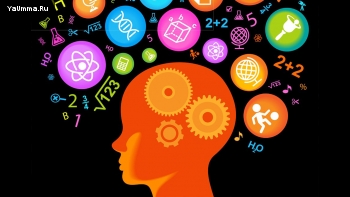 Образование и обучение: Сайты для развития ума и повышения уровня интеллекта