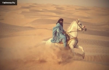 Исламская практика: Верховая езда в Исламе
