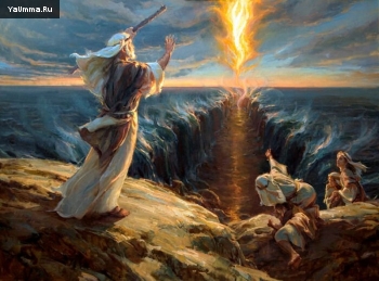 Истории Пророков: Муса и камень