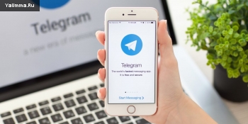 Образование и обучение: 10 каналов и 5 ботов в Telegram, что помогут выучить английский язык